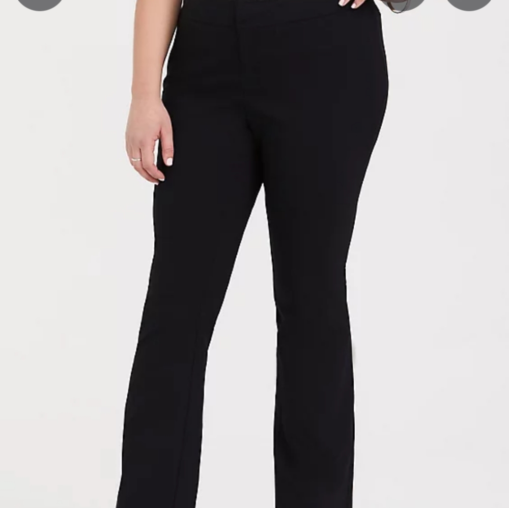 Plus size Dress pants